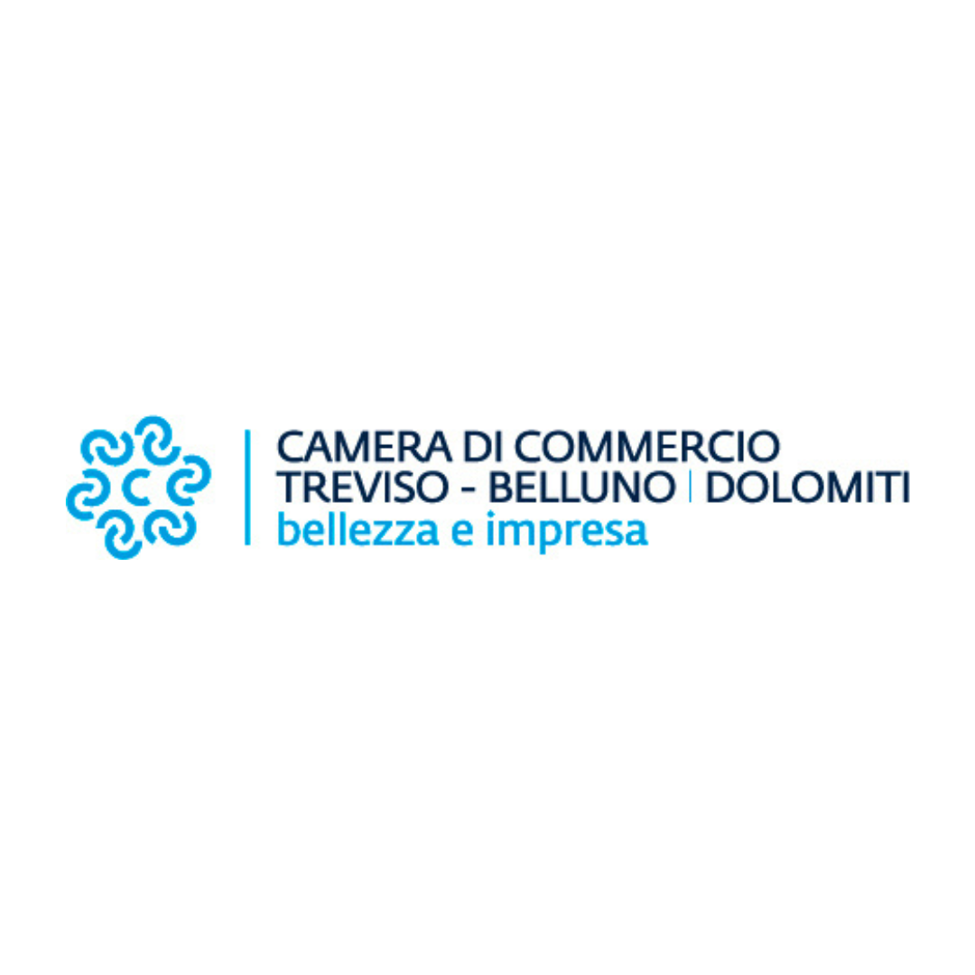 vetrine digitali della Camera di Commercio: opportunità per le imprese di Treviso e Belluno